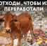 Сортируйте отходы, чтобы их переработали - Газета Новое время